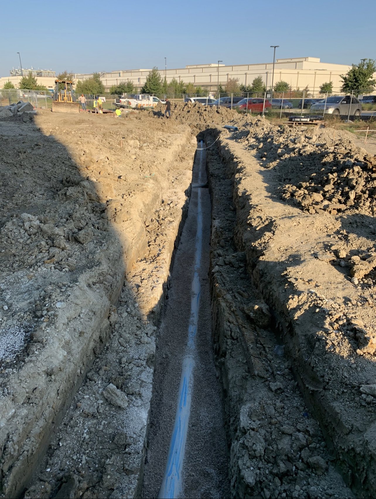 Bragg Light water-line field work